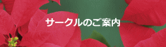 サークルのご案内 